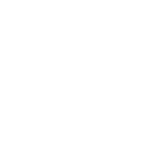 Australian Inspection Association logo